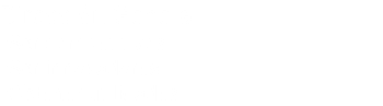 Dirección General *Ser competitivos *Ser innovadores *Obtener utilidades